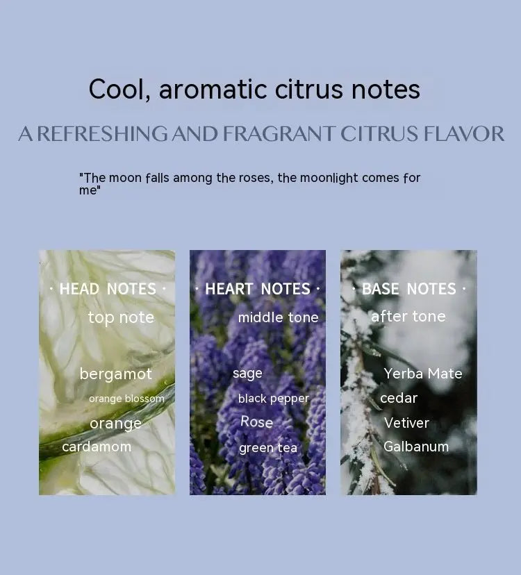 Aromatic Citrus Aromatic Perfume Long-lasting Perfume MyQualityproduct.shop