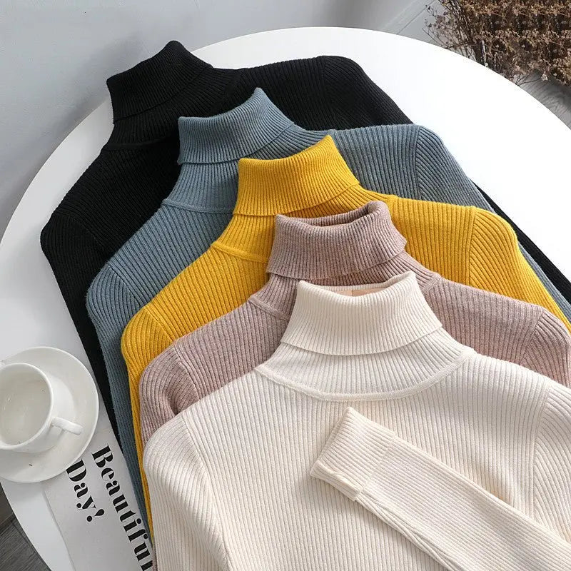 Basic Women highneck Sweaters MyQualityproduct.shop