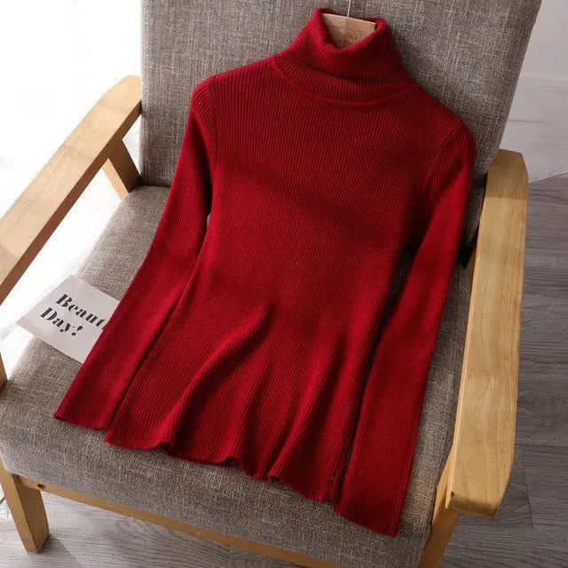 Basic Women highneck Sweaters MyQualityproduct.shop