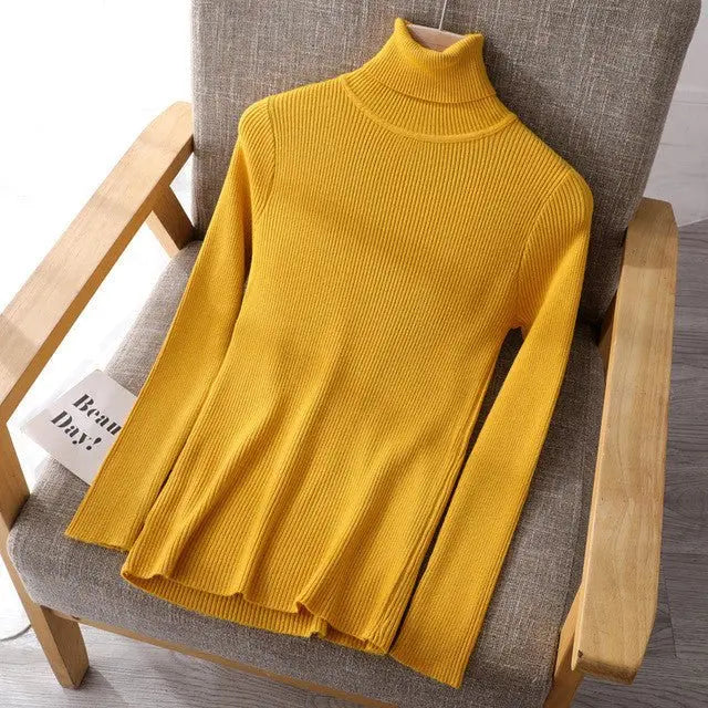 Basic Women highneck Sweaters MyQualityproduct.shop