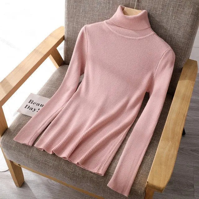 Basic Women highneck Sweaters MyQualityproduct.shop