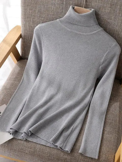 Basic Women highneck Sweaters MyQualityproduct.shop