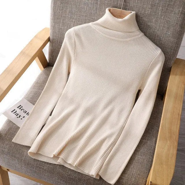 Basic Women highneck Sweaters MyQualityproduct.shop