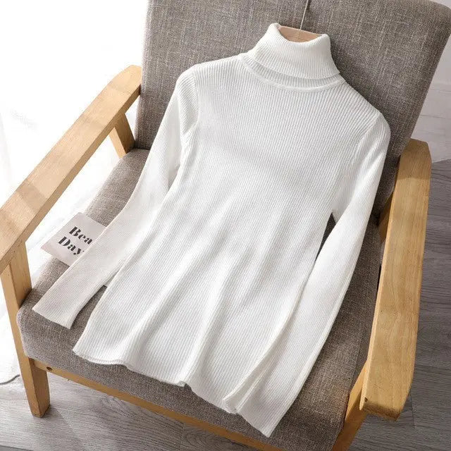 Basic Women highneck Sweaters MyQualityproduct.shop