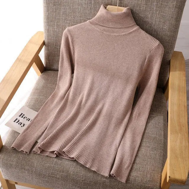 Basic Women highneck Sweaters MyQualityproduct.shop