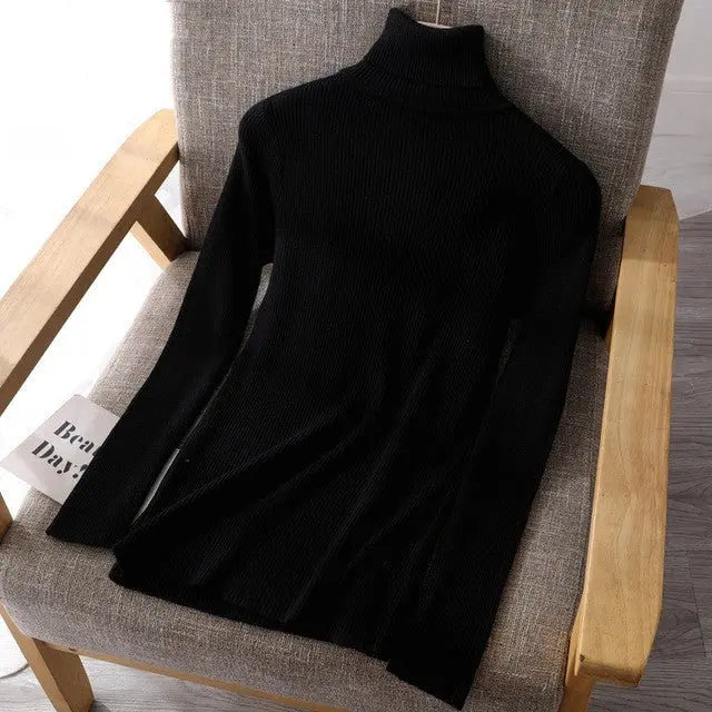 Basic Women highneck Sweaters MyQualityproduct.shop