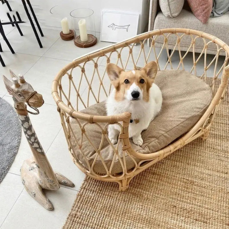 Pet Bed Handmade Rattan Woven Pet Bed Sofa For Dogs MyQualityproduct.shop