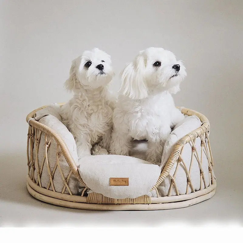 Pet Bed Handmade Rattan Woven Pet Bed Sofa For Dogs MyQualityproduct.shop