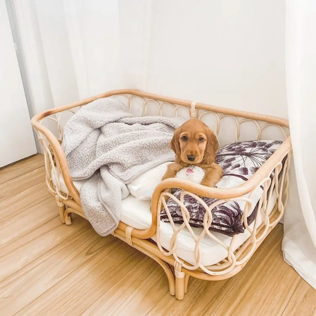 Pet Bed Handmade Rattan Woven Pet Bed Sofa For Dogs MyQualityproduct.shop