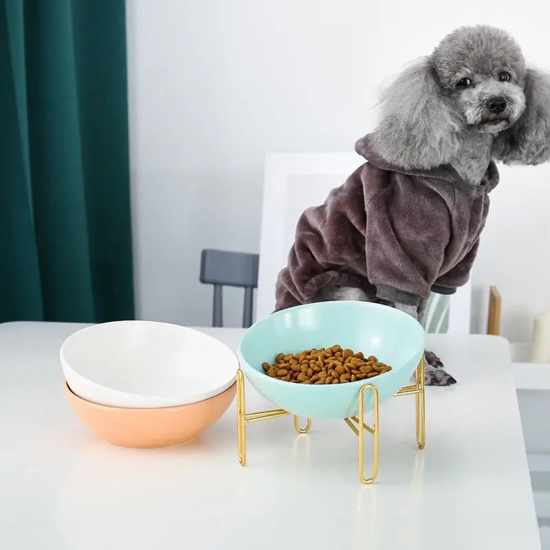 Pet bowl pet supplies MyQualityproduct.shop