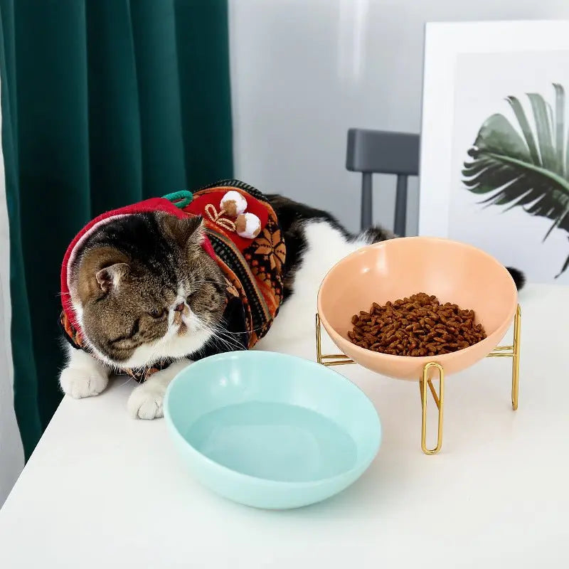 Pet bowl pet supplies MyQualityproduct.shop