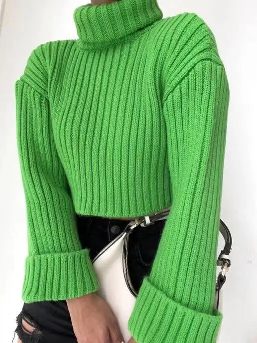 Turtleneck Sweaters Women's Clothing Striped Short Style MyQualityproduct.shop