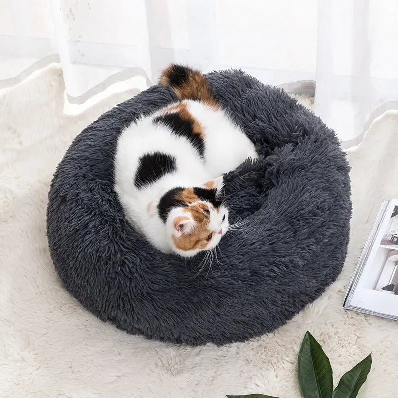 Winter Warm Pet Bed Pet Supplies Cat Pet Bed MyQualityproduct.shop