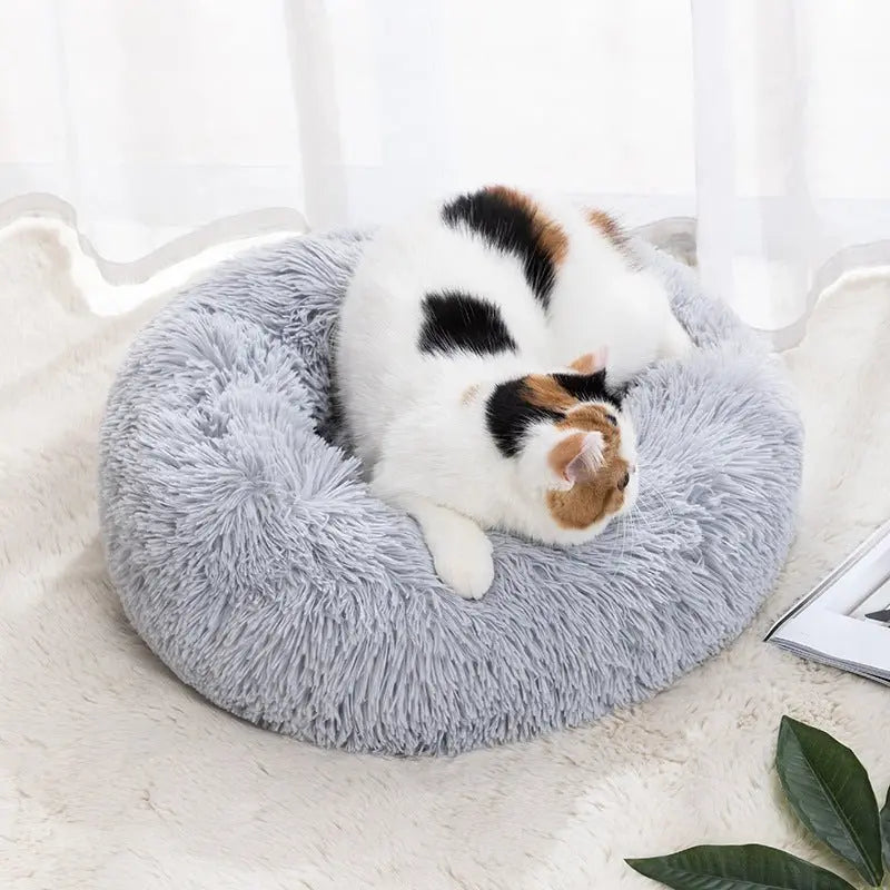 Winter Warm Pet Bed Pet Supplies Cat Pet Bed MyQualityproduct.shop