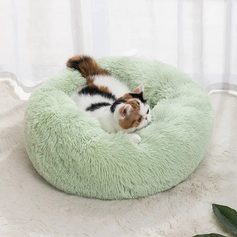 Winter Warm Pet Bed Pet Supplies Cat Pet Bed MyQualityproduct.shop