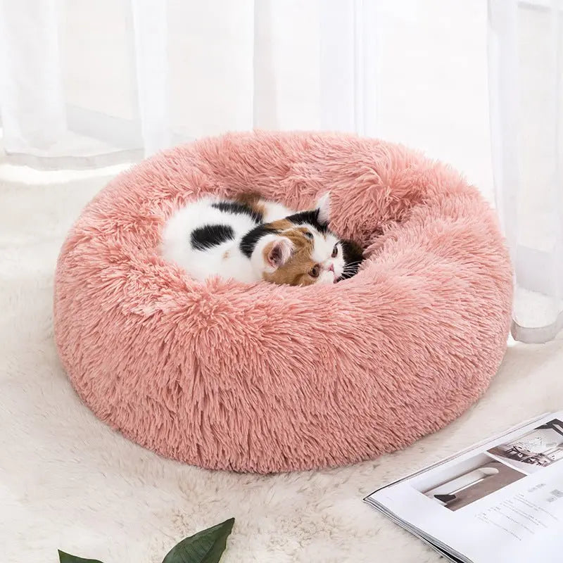 Winter Warm Pet Bed Pet Supplies Cat Pet Bed MyQualityproduct.shop