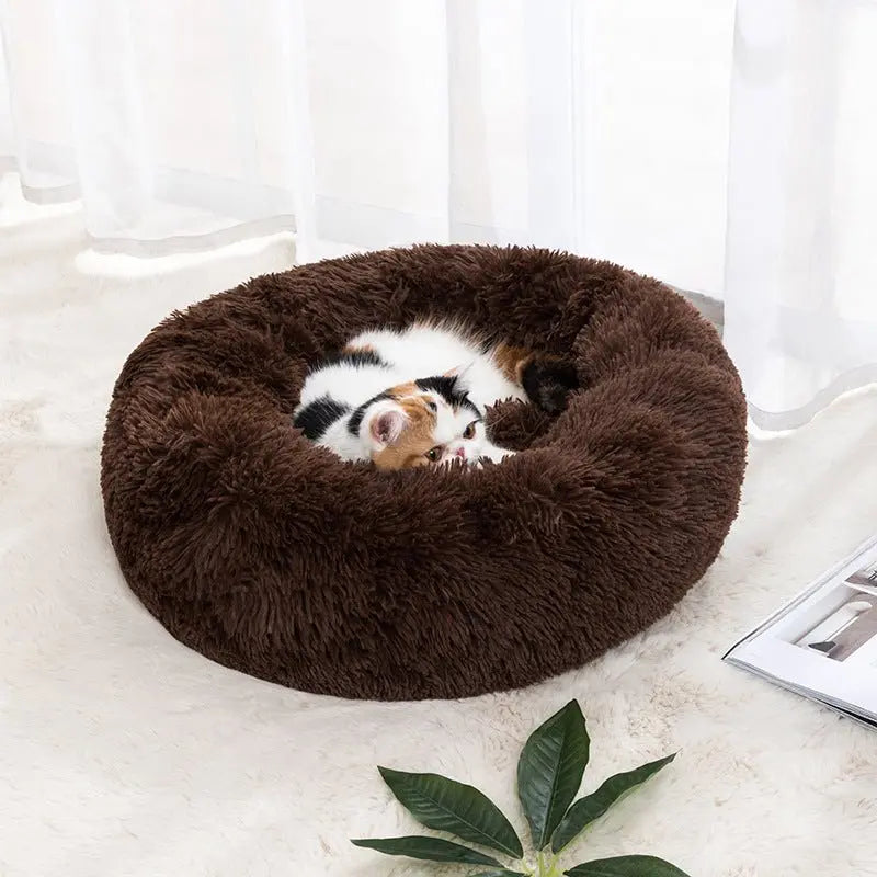 Winter Warm Pet Bed Pet Supplies Cat Pet Bed MyQualityproduct.shop